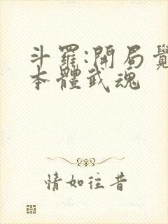 斗罗:开局觉醒本体武魂