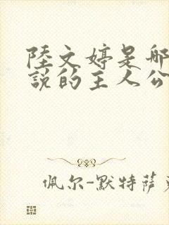 陆文婷是哪部小说的主人公