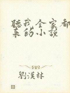 听我全家都是穿来的小说封面