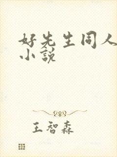 好先生同人改编小说