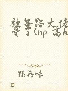 被各路大佬强制爱了(np 高h
