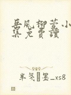 岳风柳萱小说全集免费读封面