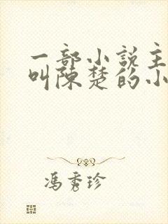 一部小说主人公叫陈楚的小说
