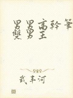 男男高干笔趣阁双男主