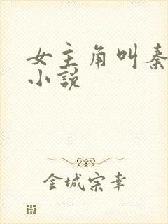 女主角叫秦晚的小说