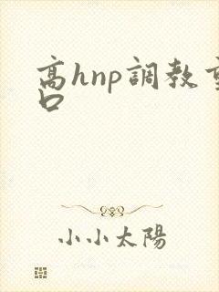 高hnp调教重口