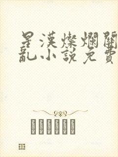 星汉灿烂关心则乱小说免费阅读全文无窗口