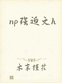 np强迫文h