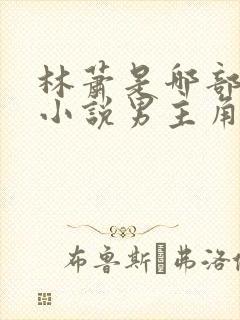 林萧是哪部玄幻小说男主角