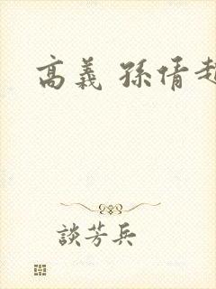 高义 孙倩赵敏封面
