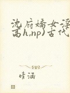沈府娇女淫史(高h,np)古代