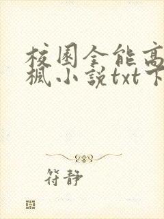校园全能高手季枫小说txt下载全集封面