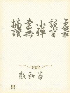 摘棠小说免费阅读无弹窗最新章节封面