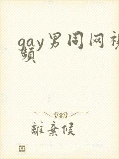 gay男同网视频