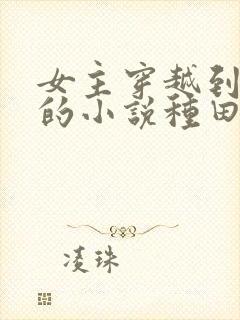 女主穿越到古代的小说种田文