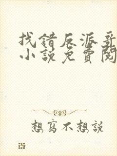 找错反派哥哥后小说免费阅读