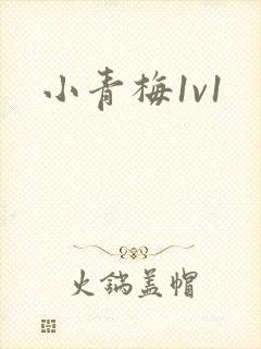 小青梅1v1