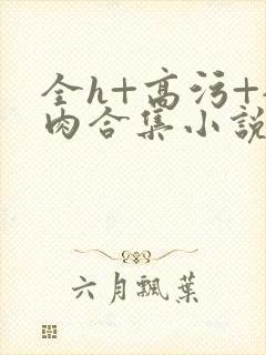 全h+高污+全肉合集小说封面