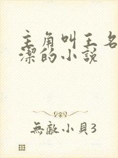 主角叫王名浩李洁的小说