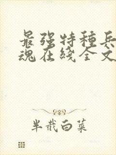 最强特种兵之龙魂在线全文阅读