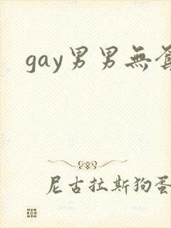 gay男男无套封面