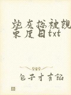 炮灰总被觊觎 东度日txt