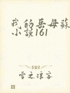 我的岳母苏沛真小说161