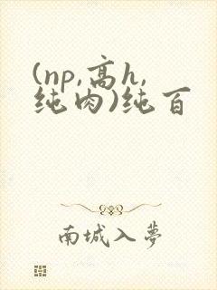 (np,高h,纯肉)纯百