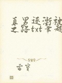 直男逐渐被掰弯之路txt笔趣阁免费阅