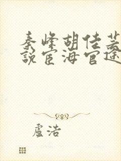 秦峰胡佳芸的小说宦海官途