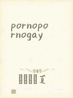 pornopornogay