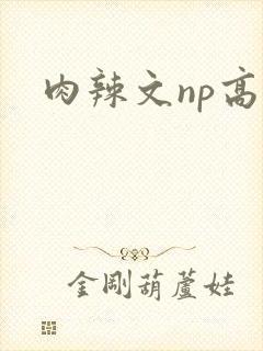 肉辣文np高辣