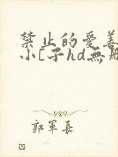禁止的爱善良的小[子hd无删减在线