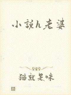 小说h老婆