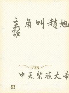 主角叫赵旭的小说