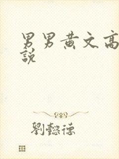 男男黄文高h小说封面