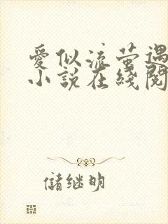 爱似流萤遇繁星小说在线阅读封面