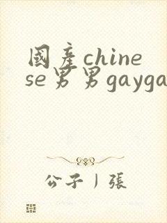 国产chinese男男gaygay网址搜索