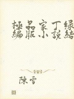 极品家丁绿帽改编版小说结局