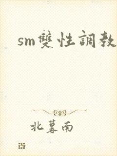 sm双性调教文