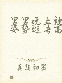 男男晚上被各种姿势进去高潮小说封面