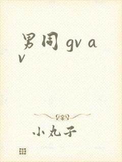 男同 gv av