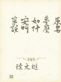 宁安如梦原著小说叫什么名字