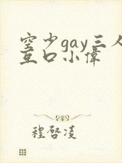 空少gay三人互口小伟封面