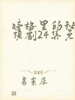 暗格里的秘密电视剧24集免费观看