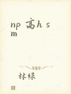 np 高h sm
