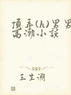 顶弄(h)男男高潮小说封面