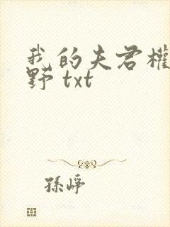 我的夫君权倾朝野 txt