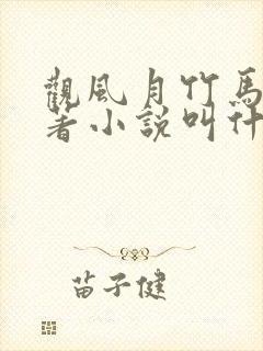 观风月竹马篇原著小说叫什么名字封面