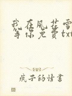 我在风花雪月里等你免费txt下载